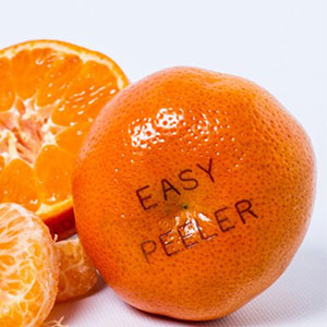 Laser-marking-on-fruits-and-veggies