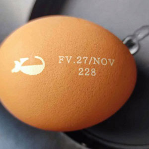 Flying-CO₂-laser-marking-machine-for-egg-marking