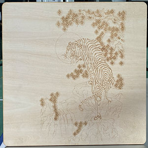 300x300mm-RF